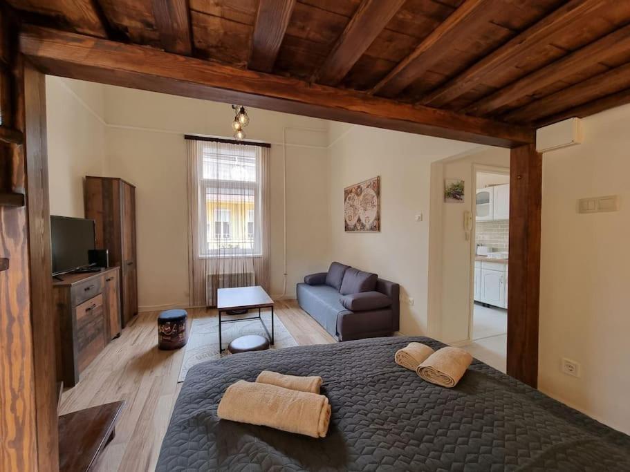 Vintage Apartman In City Center Miskolc Eksteriør bilde